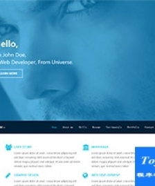 Web Developer開發(fā)者個人簡歷模板下載