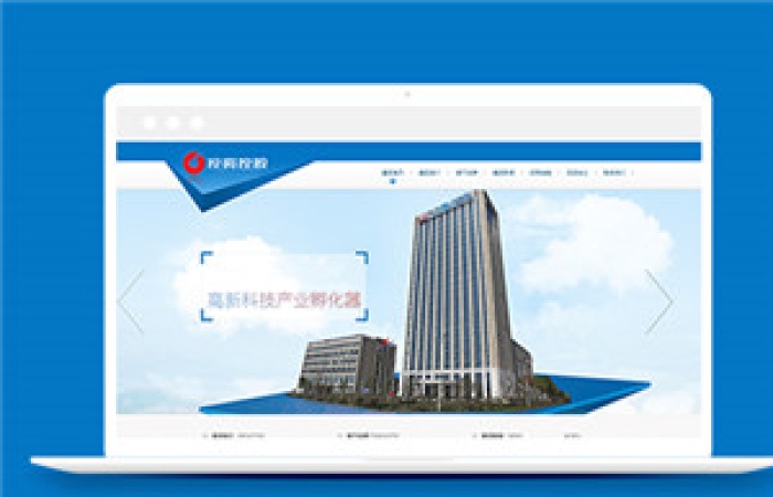 金融投資控股類企業(yè)前端自適應模板-Toy模板網(wǎng)編號14014