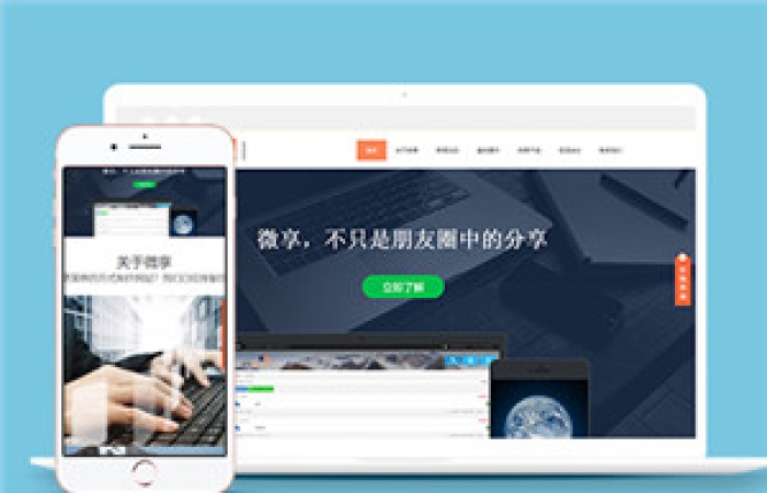 響應(yīng)式微享服務(wù)平臺(tái)網(wǎng)站模板下載-Toy模板網(wǎng)編號(hào)14774