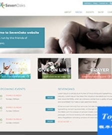 淺灰色簡單軟件開發(fā)公司html模板-HTML5模板