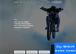 高端精品藝術(shù)品自媒體新聞門(mén)戶html5模板-HTML5模板