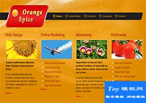 orange spice橙色背景簡約精致單頁網(wǎng)站模板-HTML5模板