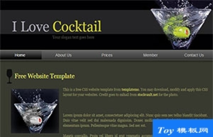 cocktail深色大氣酷炫單頁web網(wǎng)站模板-Toy模板網(wǎng)編號(hào)17532
