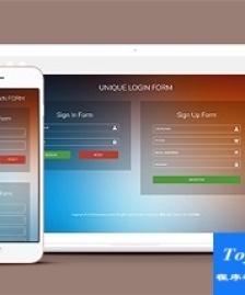 Sign Form html5登錄模板