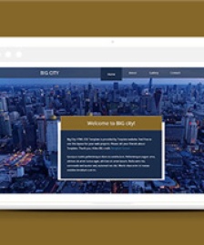 都市切換介紹企業(yè)網(wǎng)頁源碼模板
