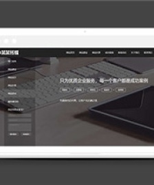 網(wǎng)站建站優(yōu)化推廣類前端mip模板下載