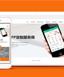 彩色app開(kāi)發(fā)公司網(wǎng)絡(luò)科技公司模板下載