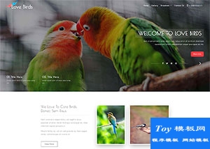 bird花鳥市場企業(yè)網(wǎng)站模板-手機模板