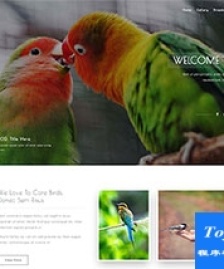 bird花鳥市場(chǎng)企業(yè)網(wǎng)站模板