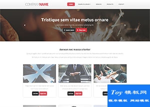 css3紅色標(biāo)準(zhǔn)企業(yè)博客html5模板-HTML5模板