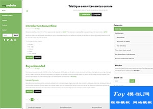 綠色左欄全屏自適應(yīng)營銷推廣博客模板-HTML5模板