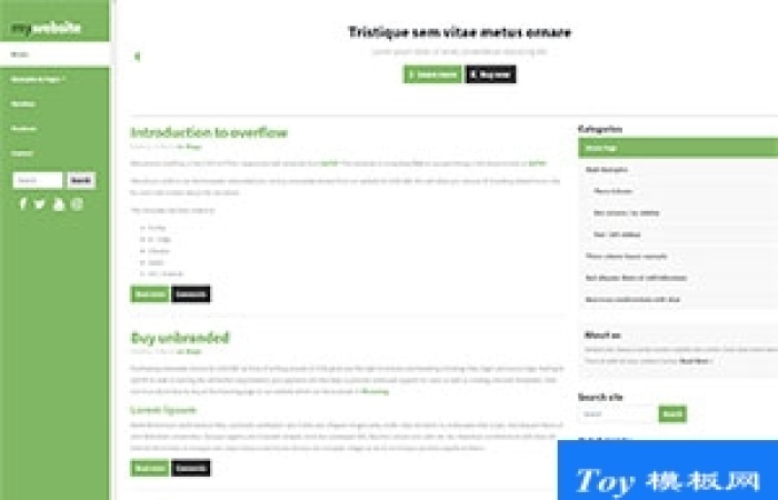 綠色左欄全屏自適應(yīng)營銷推廣博客模板-Toy模板網(wǎng)編號18232