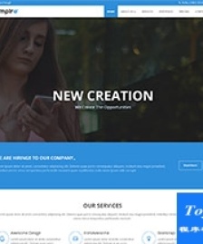 標準外貿(mào)服務公司響應式html5模板