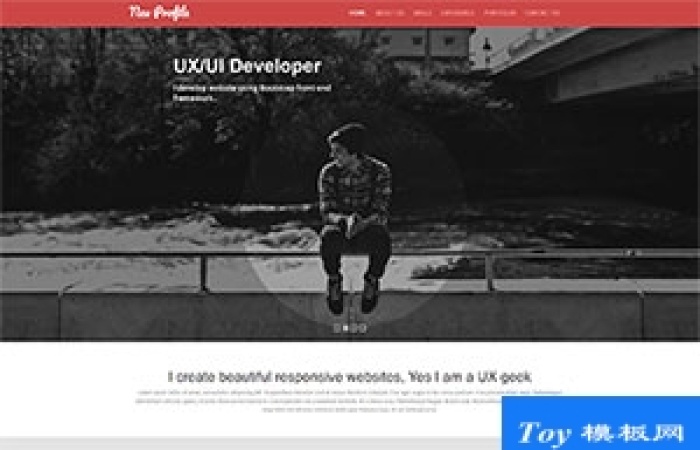 UX/UI Developer開發(fā)者web簡歷模板-Toy模板網(wǎng)編號19771
