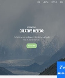Meteor整站企業(yè)博客文章響應(yīng)式網(wǎng)站首頁模板