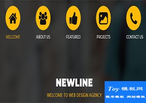 newline小圖標簡約大氣暗黃CSS網站模板-CSS模板
