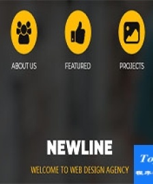 newline小圖標(biāo)簡(jiǎn)約大氣暗黃CSS網(wǎng)站模板