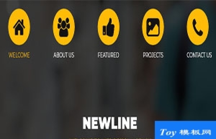 newline小圖標簡約大氣暗黃CSS網站模板-Toy模板網編號17613