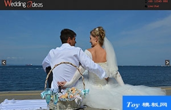 精美婚紗婚慶公司wedding deas響應(yīng)式整站模板-Toy模板網(wǎng)編號(hào)17693