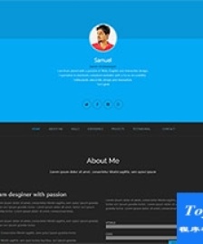 web UI Developer個人簡歷模板