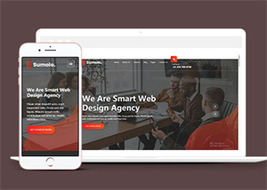 web軟件應(yīng)用開(kāi)發(fā)公司網(wǎng)站模板-HTML5模板