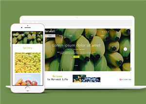 響應(yīng)式果蔬類種植公司果蔬大棚企業(yè)通用模板下載-HTML5模板