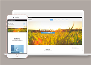 響應式醫(yī)療機構(gòu)醫(yī)院類企業(yè)前端模板下載-前端模板