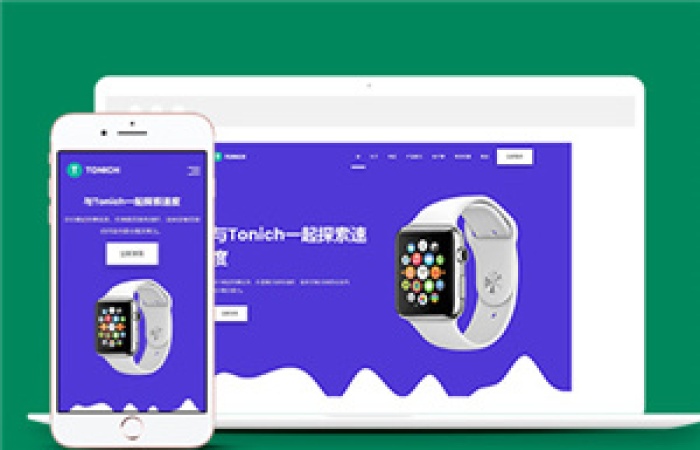 寬屏藍色電話手表軟件公司網(wǎng)站模板-Toy模板網(wǎng)編號12720