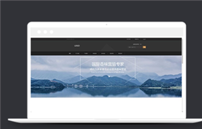 灰色簡約中高端家具定制企業(yè)網(wǎng)站模板-Toy模板網(wǎng)編號13678