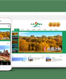 響應(yīng)式環(huán)球旅游類企業(yè)前端cms模板下載