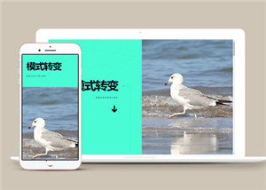 簡(jiǎn)單左右分屏單頁(yè)面網(wǎng)站HTML5模板-HTML5模板