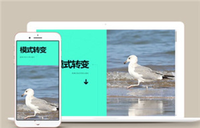 簡(jiǎn)單左右分屏單頁(yè)面網(wǎng)站HTML5模板-Toy模板網(wǎng)編號(hào)14778