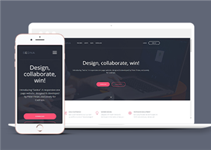 炫酷黑色bootstrap響應式通用網(wǎng)站模板-HTML5模板