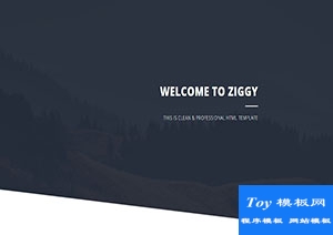 Ziggy黑白UI個(gè)人生活主題響應(yīng)式網(wǎng)站模板-HTML5模板