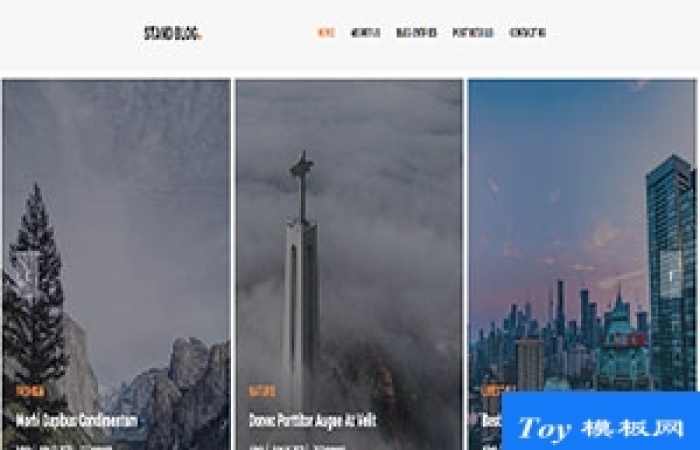 stand blog創(chuàng)意博客主頁(yè)響應(yīng)式網(wǎng)站模板-Toy模板網(wǎng)編號(hào)17614