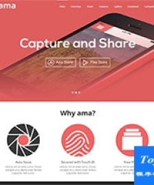 手機app應用開發(fā)企業(yè)官網模板