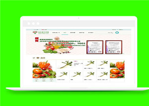 綠色水果蔬菜商城html5模板下載-HTML5模板