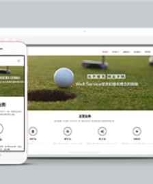 響應(yīng)式信息技術(shù)類企業(yè)前端cms模板下載