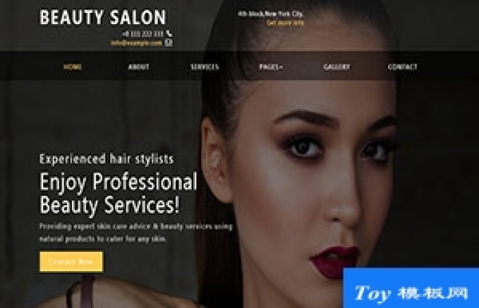 Beauty Slaon精致美容服務(wù)機(jī)構(gòu)引導(dǎo)式css網(wǎng)站模板-Toy模板網(wǎng)編號17635