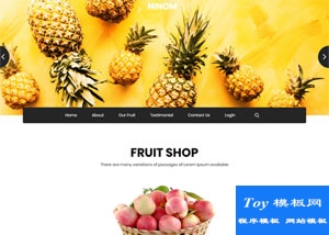 FRUIT SHOP水果商店響應(yīng)式網(wǎng)站模板-HTML5模板