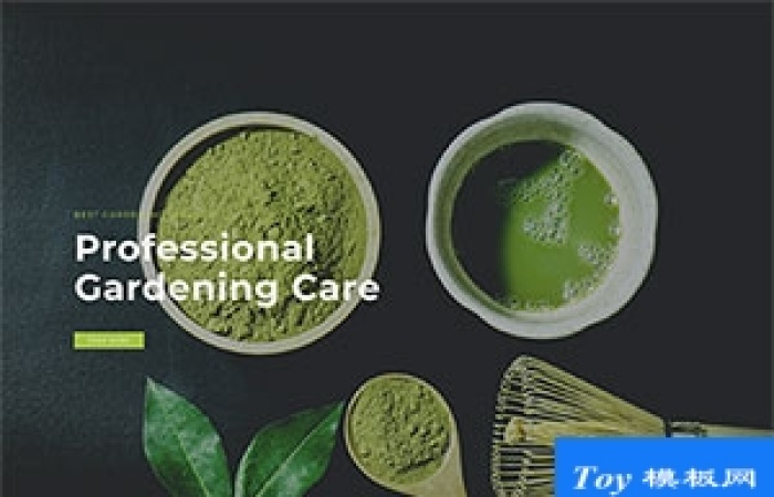 寬屏綠色有機(jī)蔬菜種植響應(yīng)式模板-Toy模板網(wǎng)編號(hào)18135