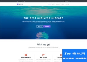 市場(chǎng)營(yíng)銷銷售公司響應(yīng)式模板-HTML5模板