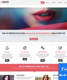 Biz粉色外貿(mào)服務公司bootstrap模板