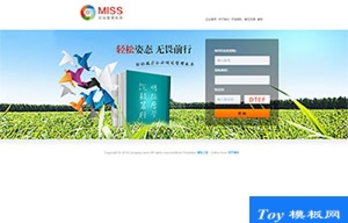 系統(tǒng)登錄login html模板-Toy模板網(wǎng)編號(hào)19435
