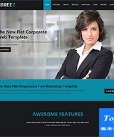 BIZ Web 外貿(mào)商務(wù)服務(wù)模板下載-HTML5模板