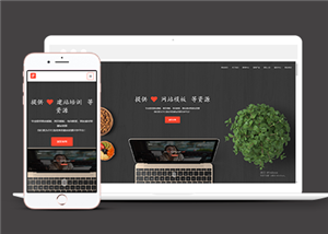 響應(yīng)式高端信息科技類企業(yè)前端CMS模板下載-前端模板
