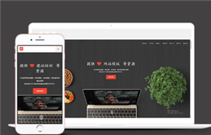 響應(yīng)式高端信息科技類企業(yè)前端CMS模板下載-Toy模板網(wǎng)編號10954
