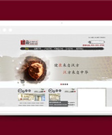 中國水墨風健康醫(yī)藥介紹網(wǎng)站模板下載