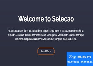 Selecao框架創(chuàng)建便捷響應式網(wǎng)站模板-HTML5模板