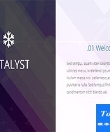 催化劑catalyst藍色單頁網(wǎng)頁模板